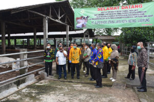 Kunjungan Menteri Pertanian ke Kota Metro