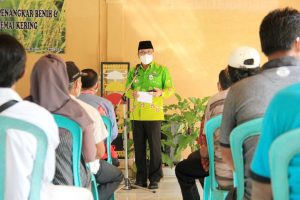 Walikota Metro Resmikan Pelatihan Pertanian dan Teknologi Semai Kering Padi IP400