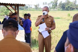 Kepala DKPP Kota Metro Buka Panen Raya Bersama Partai Nasdem