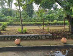 Dinas Perumahan dan Kawasan Permukiman, Kehilangan Kabel Taman Sepanjang 500 Meter