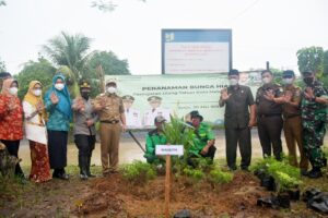 Pemkot Metro Tanam Bunga Hias dan Toga, dalam Peringati Hari Jadi Ke-85