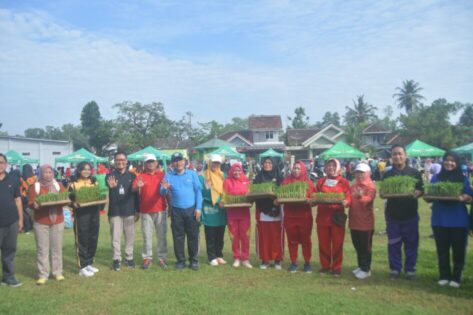 Bagikan bibit cabai ke murid sekolah dasar, Wahdi harapkan generasi muda senang bertani