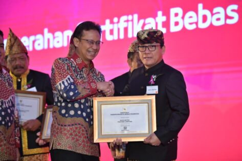 Wahdi Terima Penghargaan Kota Bebas Frambusia