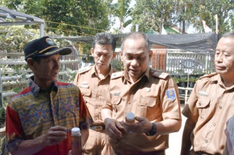 Mulyosari Jadi Perwakilan Kecamatan Metro Barat, untuk Lomba Kelurahan Tingkat Kota