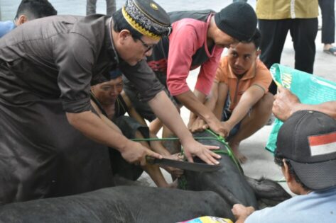 Wahdi Sembelih Hewan Qurban di Masjid Taqwa