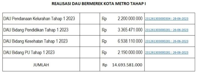 Pemkot Metro Lakukan Percepatan Penyaluran Dana Alokasi dengan Asistensi Penganggaran
