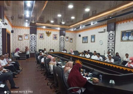 Pemkot Metro Ikuti Entry Meeting Bersama Kemen PANRB