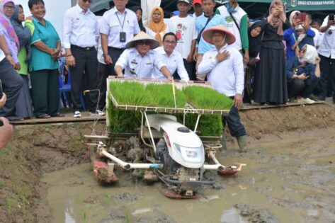 Wahdi Optimis Hasil Tanam Perdana MT 1 di Kota Metro Berhasil dan Berkualitas