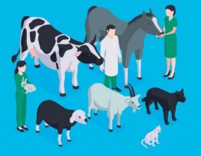 Tingkatkan Pelayanan Publik, Pemkot Metro Siap Launching Rumah Sakit Hewan Pertama di Lampung