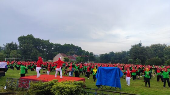 Gebyar Senam LLI Menjadi Ruang dan Peluang Lansia untuk Tetap Sehat