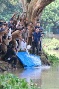 Gubernur Lampung dan Walikota Metro Tebar Benih Ikan di Dam Raman