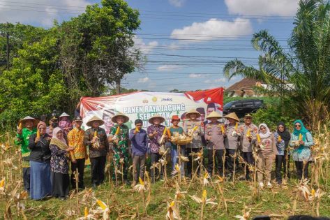 Wali Kota Metro Hadiri Panen Raya Jagung Serentak Nasional, Tegaskan Komitmen Ketahanan Pangan