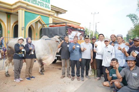 Bambang-Rafieq berterimakasih dan serahkan sapi qurban Prabowo di Sumbersari