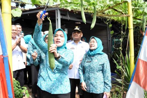 Miliki banyak potensi, Kota Metro diapresiasi Ketua TP PKK Provinsi Lampung