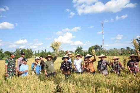 Kota Metro mampu Swasembada Pangan, ini kata H. Bambang…