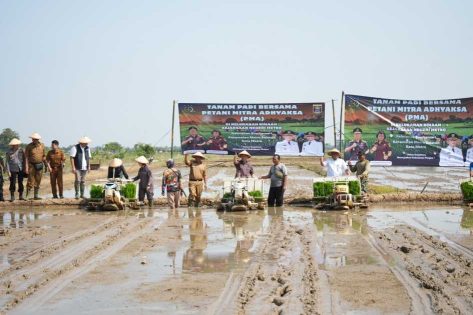 Jaga ketahanan pangan, Wali Kota Metro tanam padi bersama Petani Mitra Adhyaksa