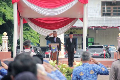 Pimpin Upacara Hari Pahlawan, Wali Kota Metro ajak meneladani nilai nilai kepahlawanan