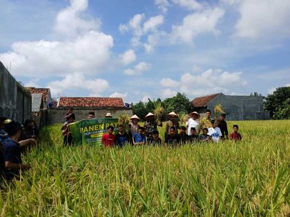 Panen padi, Heri Wiratno tekankan ketahanan pangan sesuai Asta Cita Presiden