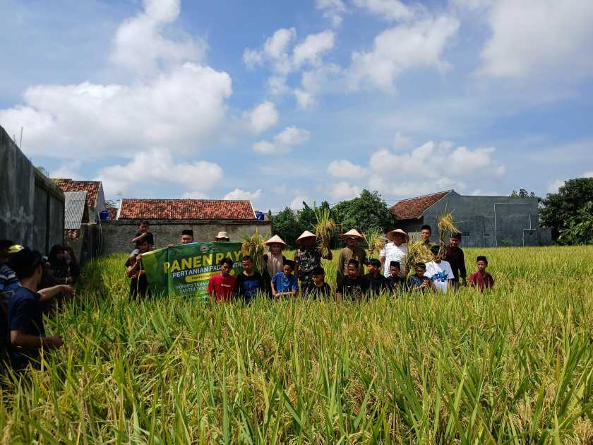 Panen padi, Heri Wiratno tekankan ketahanan pangan sesuai Asta Cita Presiden