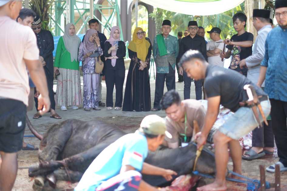 Pemkot Metro Pastikan Hewan Kurban Sehat, Semangat Kebersamaan Warnai Idul Adha 1447 H