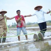 Dari Sawah Yosomulyo, Sespimti Polri dan Kejaksaan Dorong Ketahanan Pangan di Metro