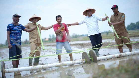 Dari Sawah Yosomulyo, Sespimti Polri dan Kejaksaan Dorong Ketahanan Pangan di Metro